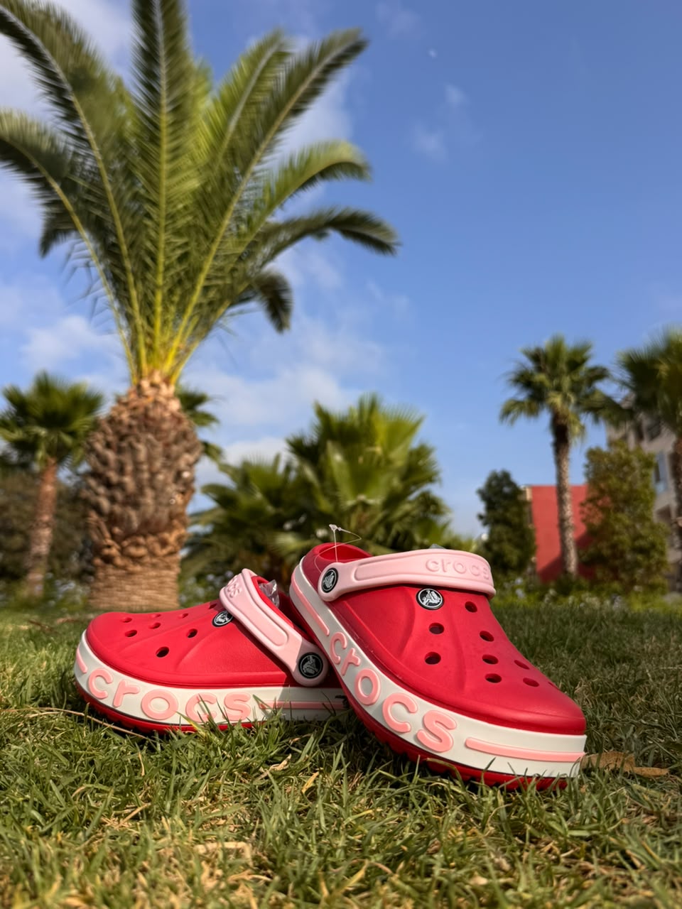 🔥 وصلو Crocs Classic الجداد! 🔥